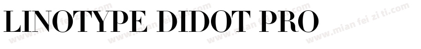 Linotype Didot Pro字体转换
